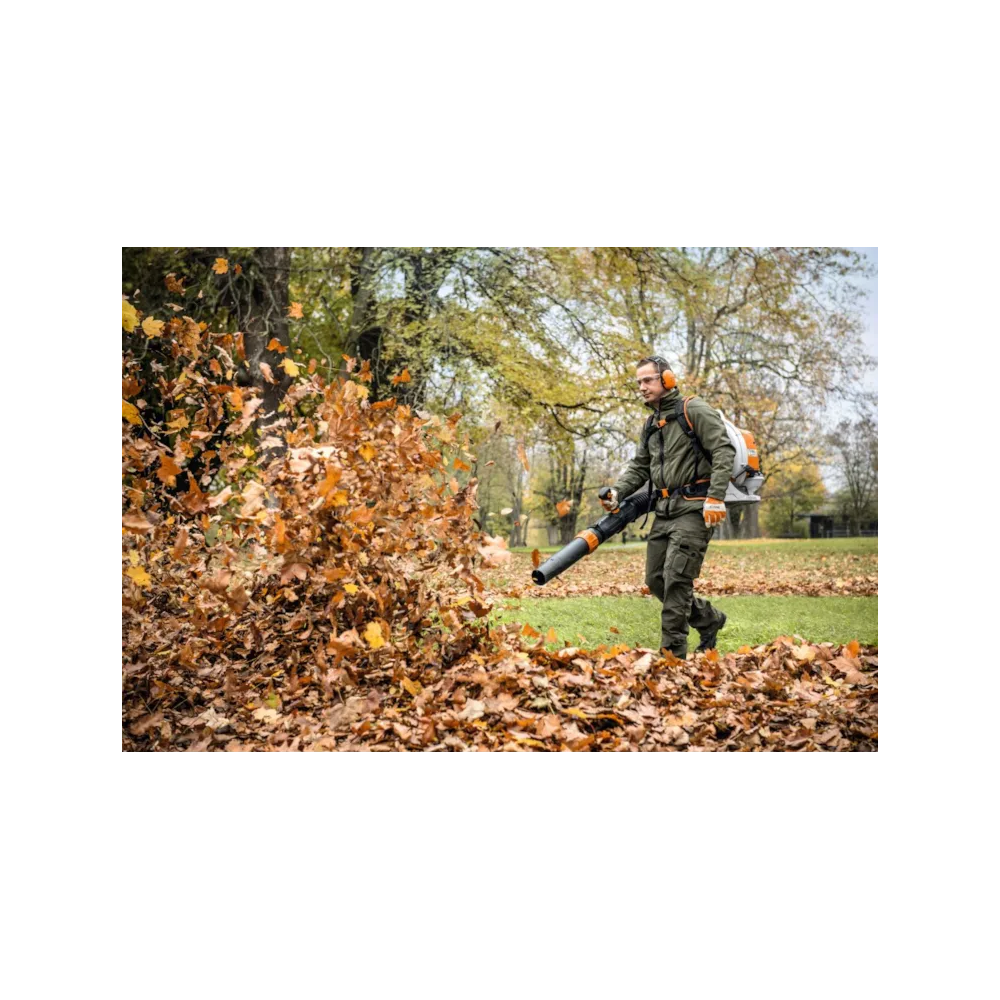 STIHL Blasgerät BR 800 C-E – Bild 2