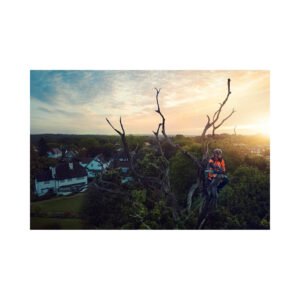 Husqvarna Akku-Kettensäge T540i XP® (ohne Akku & Ladegerät)