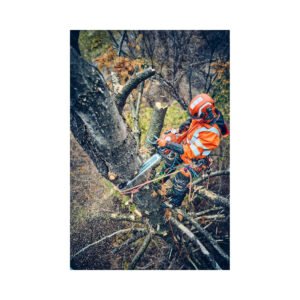 Husqvarna Kettensäge 560 XPG Mark II